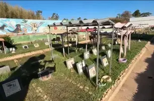 Cemitério e crematório para pets (Foto: Conecta Piauí)