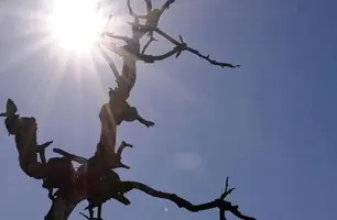 Clima seco (Foto: Reprodução)