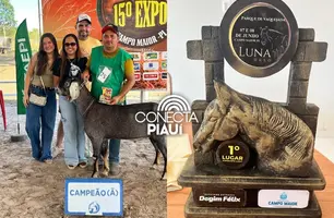Cocal de Telha conquista 1º lugar na ExpoCampoMaior com Chácara Santa Paz (Foto: Reprodução)