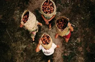 Com foco na luta das quebradeiras de coco, documentário Babaçu Livre é lançado (Foto: Reprodução/ ASCOM)
