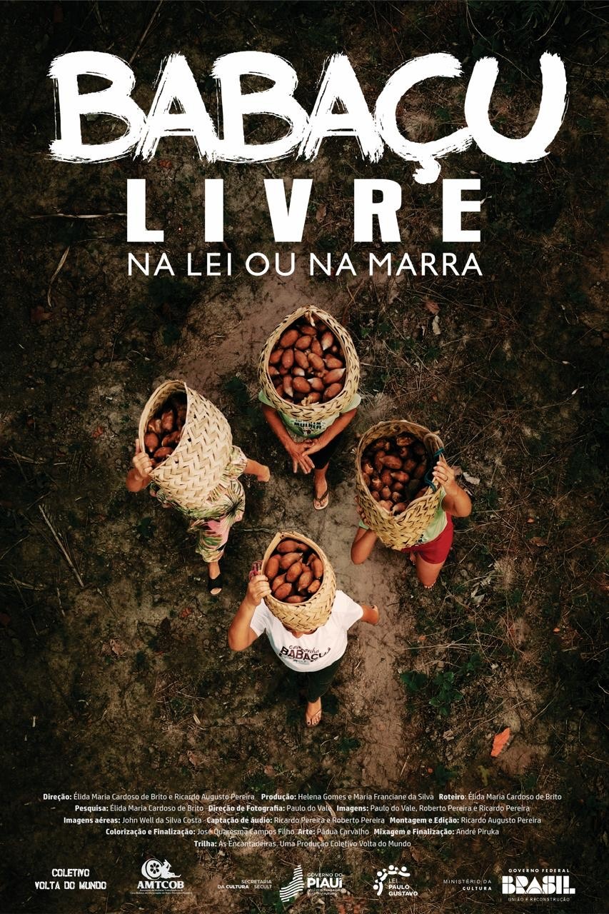 Com foco nas quebradeiras de coco, documentário Babaçu Livre será lançado hoje