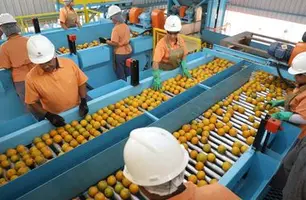 Donald Trump assinou ordem que eleva tarifa de importação ao Brasil a 50% (Foto: Ari Dias)