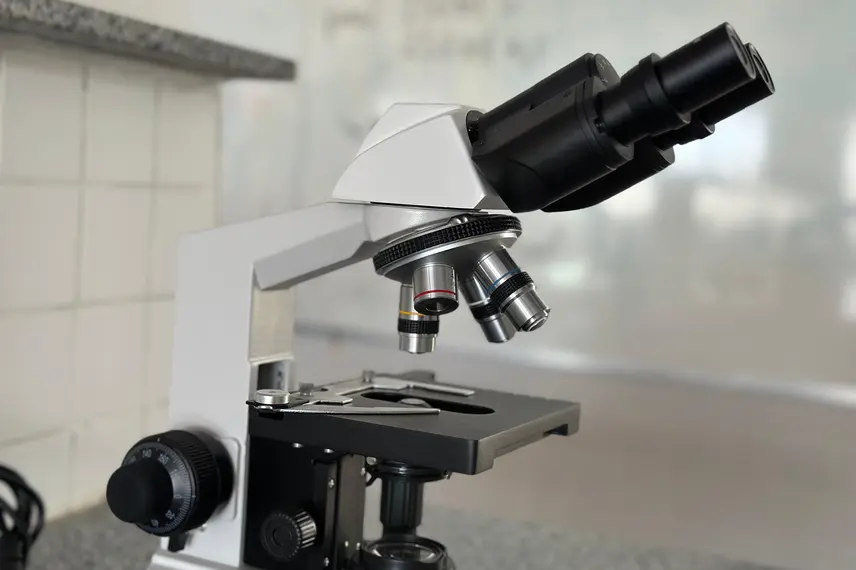 Escola movimenta férias com atividades lúdicas e criativas em Anísio de Abreu