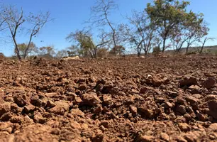 Gel natural do Piauí ajuda a recuperar solo de área mais seca do Brasil (Foto: Reprodução/ ASCOM)