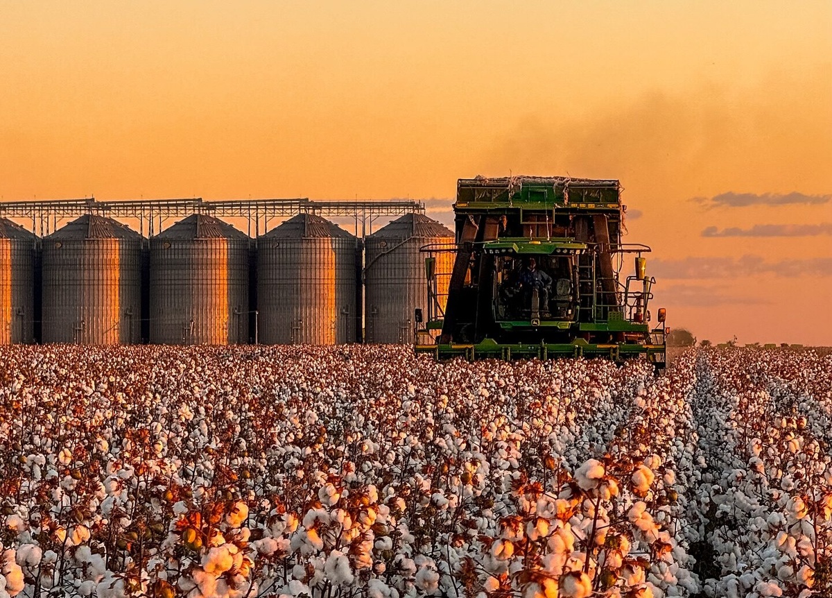 Gilbués recebe primeira unidade de beneficiamento de algodão da Agro Fritzen