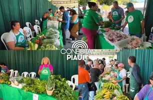 Governo do Piauí anuncia mais de R$ 100 milhões para a agricultura familiar (Foto: Conecta Piauí)