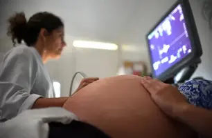 Gravidez (Foto: Andre Borges)