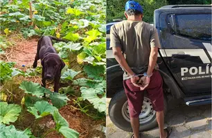Homem é preso em Teresina por manter cadela desnutrida e infestada de carrapatos (Foto: Reprodução)