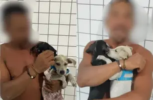 Homem é preso por tentar afogar filhotes de cachorro na Pedra do Sal, em Parnaíba (Foto: Divulgação/PMPI)