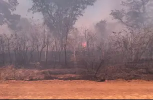 Incêndio no Piauí (Foto: Pedro Melo/Conecta Piauí)