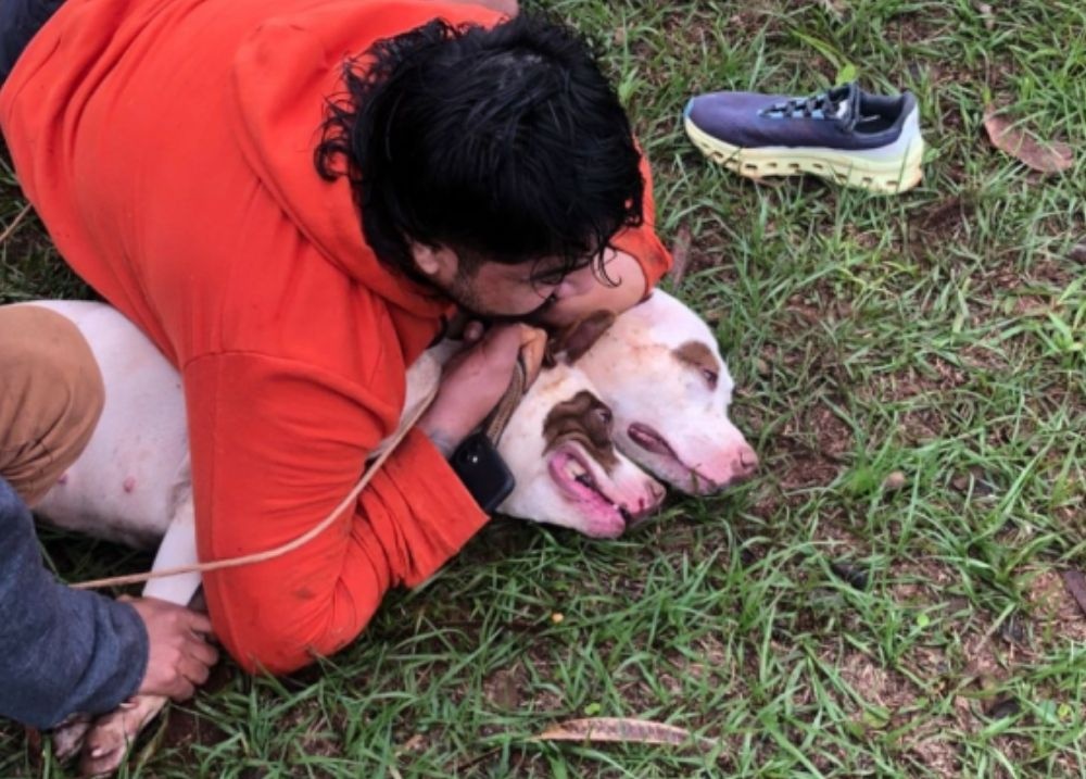Lutador de muay thai imobiliza dois pitbulls após sofrer ataques em MS