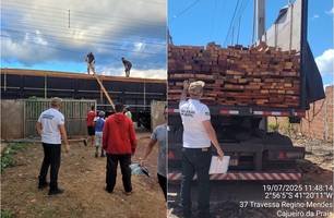 Madeira apreendida vira bem público e será usada em obras no litoral do Piauí (Foto: Reprodução)