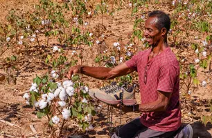 Manoel Aragão mostra tênis que é fabricado a partir do algodão orgânico cultivado por ele (Foto: Reprodução/Geirlys Silva/SAF)