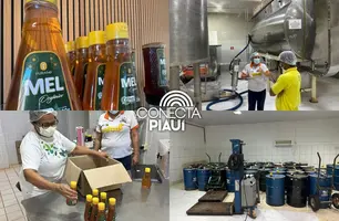 Mel produzido em Simplício Mendes é exportado para o Japão pela primeira vez (Foto: Conecta Piauí)