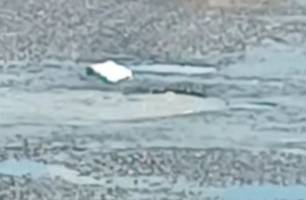 Moradores do Vale do Gavião denunciam vazamento de esgoto e mau cheiro (Foto: Reprodução)