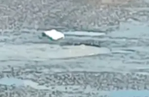 Moradores do Vale do Gavião denunciam vazamento de esgoto e mau cheiro (Foto: Reprodução)