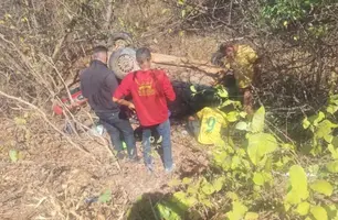 Motorista é resgatado com vida após cair em ribanceira na BR-230, em Oeiras (Foto: Reprodução)