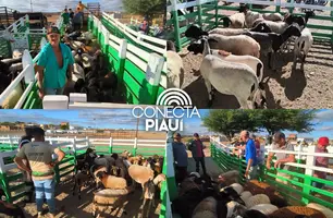 Município de Paulistana recebe a 5ª edição do projeto Diálogos pelo Piauí (Foto: Conecta Piauí)