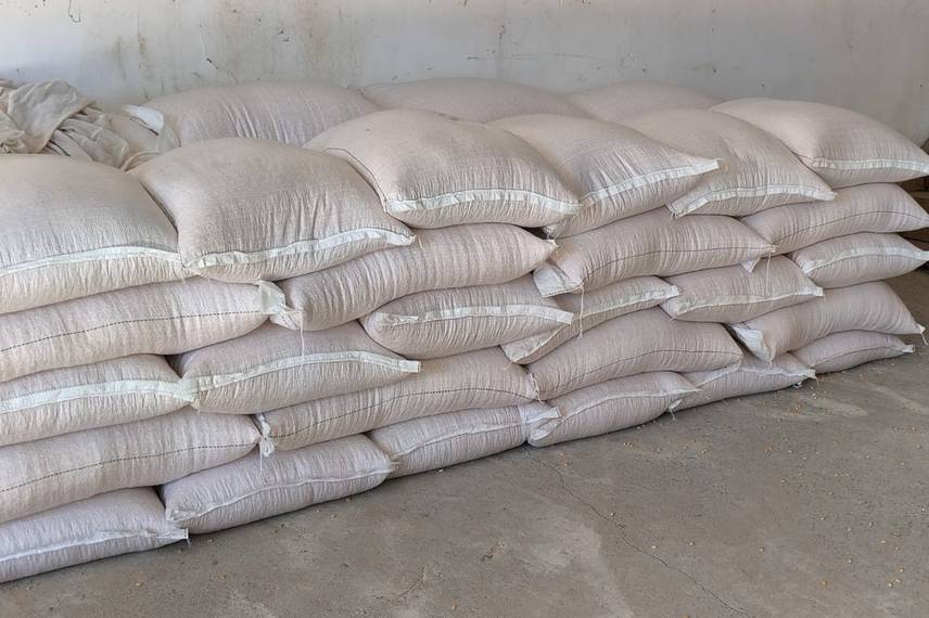 Paulistana vive nova fase com série de obras de infraestrutura Paulistana vive nova fase com série de obras de infraestrutura