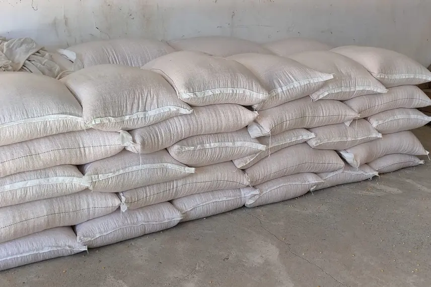 Paulistana vive nova fase com série de obras de infraestrutura