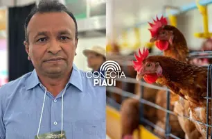 Piauí reforça ações de prevenção após confirmação de foco de gripe aviária no CE (Foto: Reprodução)