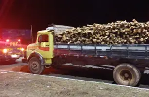 PRF apreende 13,94m³ de madeira nativa transportada sem documentação ambiental em Piripiri (PI) (Foto: Divulgação/ ASCOM PRF)