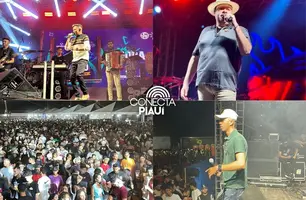 Shows movimentam a terceira edição do Festival Melão e Mel em Canto do Buriti (Foto: Conecta Piauí)