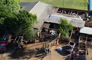 Simplício Mendes (Foto: Reprodução)