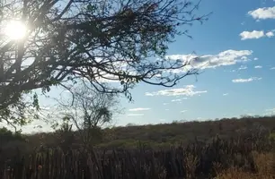 Solstício de inverno provoca clima desértico na região Sul do Piauí (Foto: Reprodução)