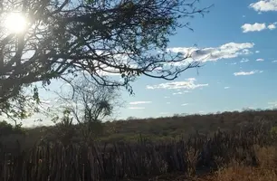 Sul do Piauí enfrenta clima desértico (Foto: Conecta Piauí)