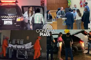 Tatiana Medeiros foi presa dia 3 de abril. (Foto: Montagem / Conecta Piauí.)