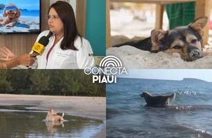 Veterinária alerta sobre cuidados com pets na praia durante o período de férias (Foto: Reprodução) Veterinária alerta sobre cuidados com pets na praia durante o período de férias (Foto: Reprodução)