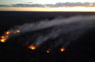 Brigadistas combatem incêndio de grandes proporções em Assunção do Piauí (Foto: Reprodução)
