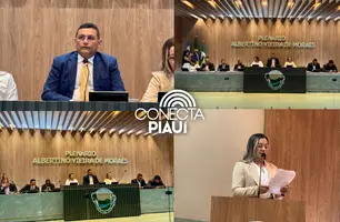 Câmara de Demerval Lobão realiza 15ª Sessão Ordinária com votações e projetos (Foto: Reprodução)