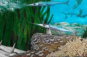 Cientistas brasileiros descobrem nova espécie de peixe pré-histórico na Antártica (Foto: Revista Nature/divulgação)