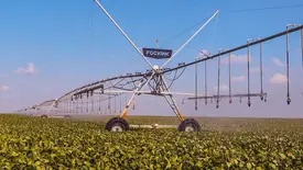 Começa o vazio sanitário da soja no centro-norte do Piauí (Foto: Reprodução)