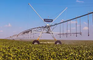 Começa o vazio sanitário da soja no centro-norte do Piauí (Foto: Reprodução)