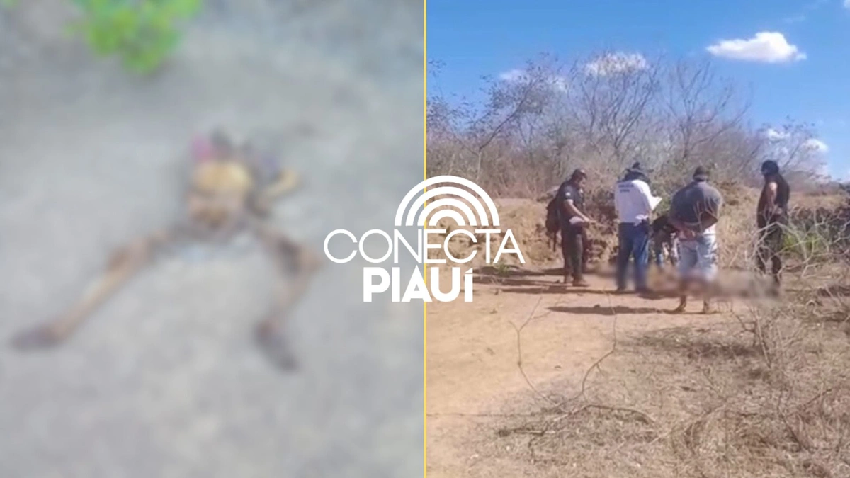 Corpo encontrado na Estrada da Alegria havia sinais de crime; polícia investiga