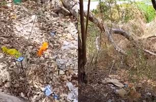 Denúncia aponta prática de atos sexuais em área pública próxima ao Parque Floresta Fóssil, em Teresina (Foto: Imagens recebidas pelo Conecta Piauí) Denúncia aponta prática de atos sexuais em área pública próxima ao Parque Floresta Fóssil, em Teresina (Foto: Imagens recebidas pelo Conecta Piauí)