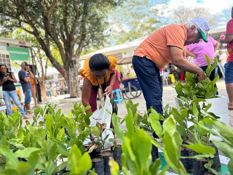 Diálogos pelo Piauí leva serviços e escuta popular a São Raimundo Nonato