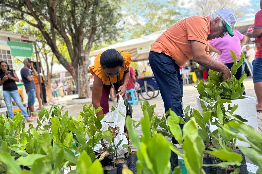 Diálogos pelo Piauí leva serviços e escuta popular a São Raimundo Nonato