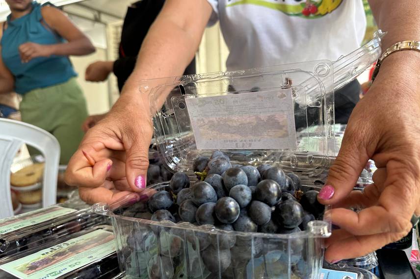 Diálogos pelo Piauí leva serviços e escuta popular a São Raimundo Nonato Diálogos pelo Piauí leva serviços e escuta popular a São Raimundo Nonato