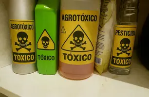 'Envenenamento coletivo': indígenas do Piauí denunciam uso de agrotóxicos (Foto: Conecta Piauí)