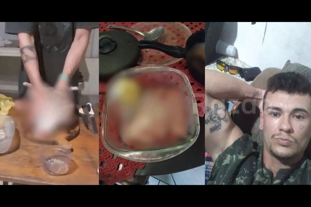 'Faço há mais de 10 anos', diz homem preso por cozinhar e comer cães e gatos