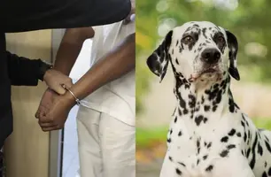 Homem é preso após estuprar cadela da raça dálmata na zona Sudeste de Teresina (Foto: Reprodução/Internet)