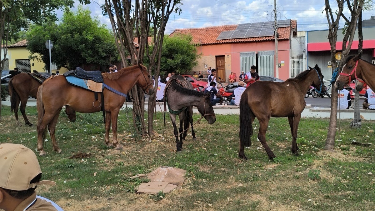 Mega Cavalgada dos Festejos de Água Branca