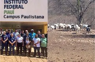 Ministério da Agricultura investiga mortes de animais no Piauí (Foto: Reprodução)