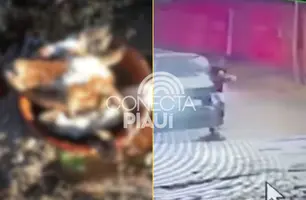 Moradora encontra cabeça de bode em trabalho perto de igreja em Teresina (Foto: Reprodução)