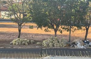 Moradores denunciam acúmulo de lixo em praça na zona Leste de Teresina (Foto: Imagem enviada ao Conecta Piauí) Moradores denunciam acúmulo de lixo em praça na zona Leste de Teresina (Foto: Imagem enviada ao Conecta Piauí)