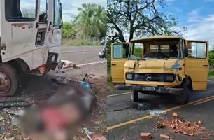 Motociclista morre em grave acidente com caminhão entre José de Freitas e Altos (Foto: Reprodução)